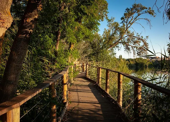 酒店 多娜布里吉达萨拉曼卡论坛酒店 维拉马约