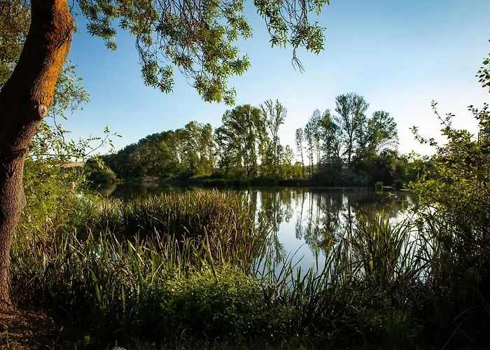 酒店 多娜布里吉达萨拉曼卡论坛酒店 4*
