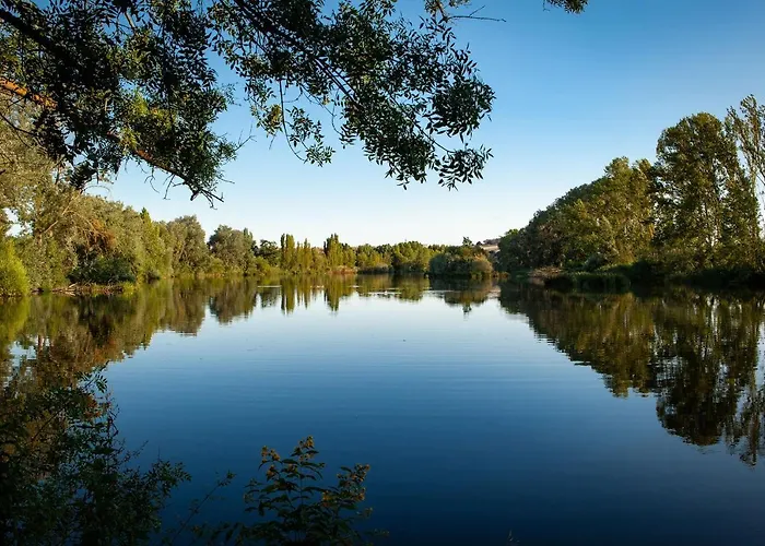 Dona Brigida - Salamanca Forum 4*